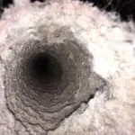 Dryer Vent