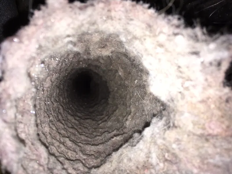 Dryer Vent Safety