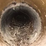 vents