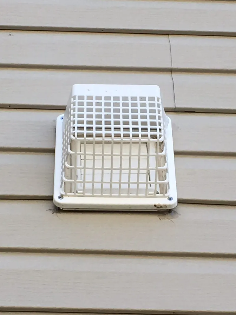 Dryer Vents & Birds Nests