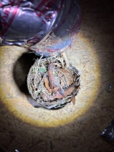 Dryer Vent Cleaning Charlotte Nc